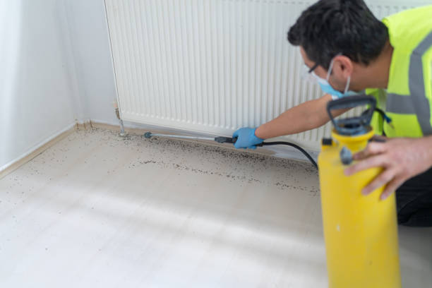 Best Pest Control Near Me  in Pleak, TX